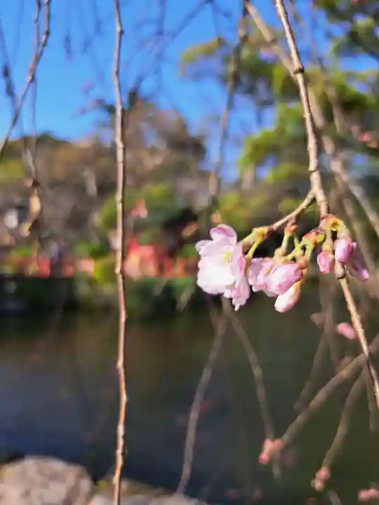 三嶋大社(静岡県)