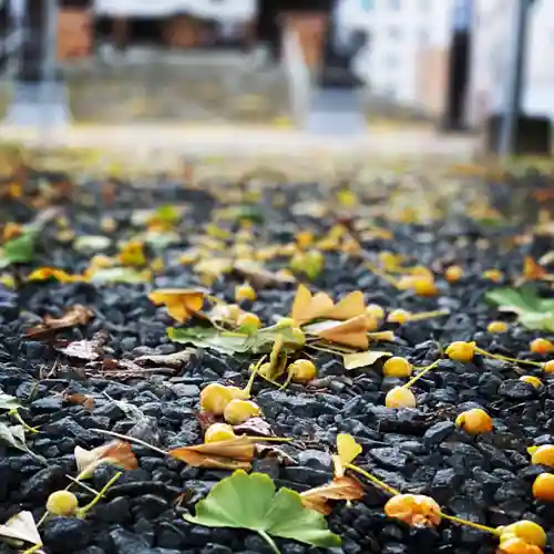 札幌諏訪神社の自然