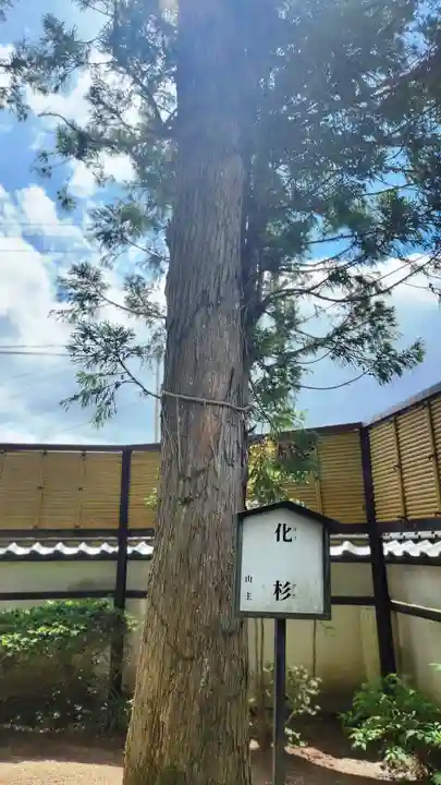 観世寺(福島県)