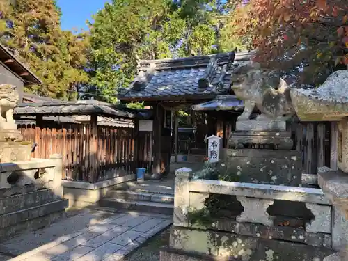 伊豆神社の狛犬