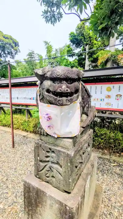 菊田神社の狛犬
