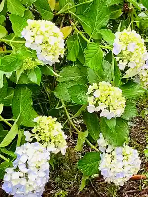 観福寺(千葉県)