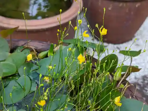 常光院(京都府)