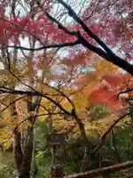 宝泉院(京都府)