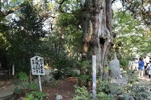 浄瑠璃寺のその他建物