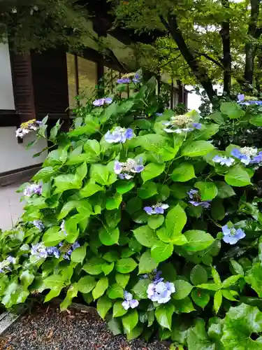 将軍塚青龍殿（青蓮院門跡）(京都府)