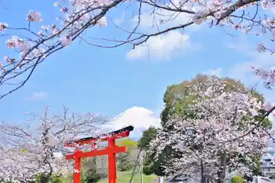 富士山本宮浅間大社(静岡県)