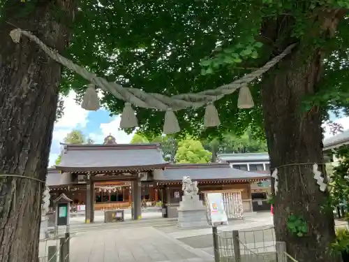 亀ケ池八幡宮の{uncategorized: "未分類", other: "その他", undefined: "問題あり", building: "その他建物", grave: "お墓", sacred_gate: "鳥居", guardian: "狛犬", statue: "像", buddha: "仏像", history: "歴史", nature: "自然", garden: "庭園", animal: "動物", pagoda: "塔", temizu: "手水舎", mountain_gate: "山門・神門", sanctuary: "本殿・本堂", subordinate: "末社・摂社", art: "芸術", scenery: "景色", jizo: "地蔵", ema: "絵馬", goshuin: "御朱印", omikuji: "おみくじ", items: "授与品その他", amulet: "お守り", goshuincho: "御朱印帳", eats: "食事", festival: "お祭り", votive_dance: "神楽", shichigosan: "七五三参", wedding: "結婚式", experience: "体験その他", initially: "初詣", around: "周辺", anti_infection: "感染症対策"}