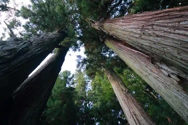 鹿島大神宮の自然