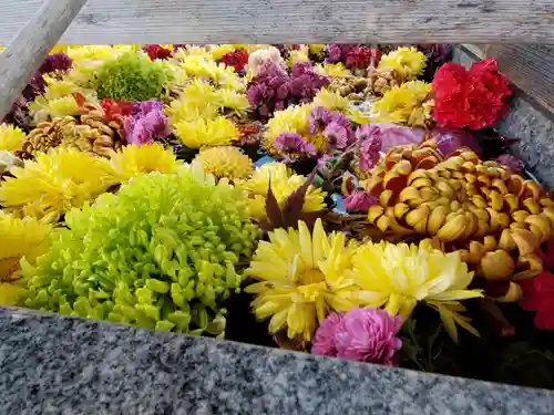 豊景神社の手水