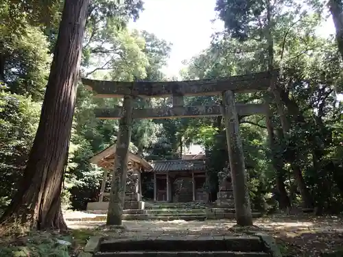 志加奴神社の鳥居