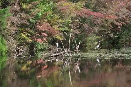 大六天麻王神社の周辺