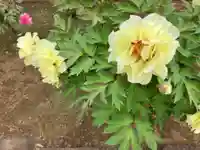 円乗院(東京都)