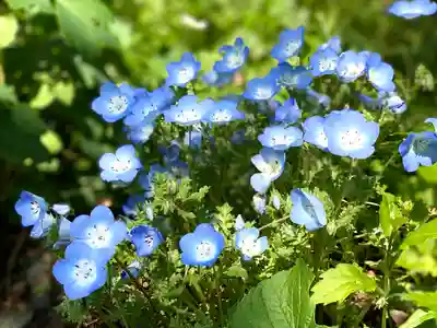 清水寺(長野県)