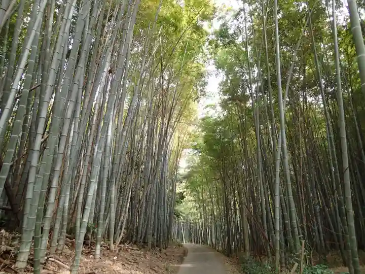 平尾姫丸稲荷大明神の自然