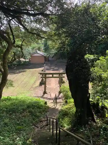 日枝神社の鳥居