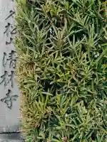 清林寺(三重県)