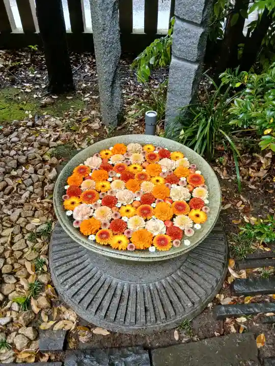 行田八幡神社の{uncategorized: "未分類", other: "その他", undefined: "問題あり", building: "その他建物", grave: "お墓", sacred_gate: "鳥居", guardian: "狛犬", statue: "像", buddha: "仏像", history: "歴史", nature: "自然", garden: "庭園", animal: "動物", pagoda: "塔", temizu: "手水舎", mountain_gate: "山門・神門", sanctuary: "本殿・本堂", subordinate: "末社・摂社", art: "芸術", scenery: "景色", jizo: "地蔵", ema: "絵馬", goshuin: "御朱印", omikuji: "おみくじ", items: "授与品その他", amulet: "お守り", goshuincho: "御朱印帳", eats: "食事", festival: "お祭り", votive_dance: "神楽", shichigosan: "七五三参", wedding: "結婚式", experience: "体験その他", initially: "初詣", around: "周辺", anti_infection: "感染症対策"}