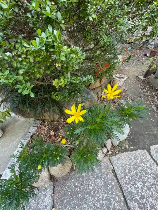 和光寺(大阪府)