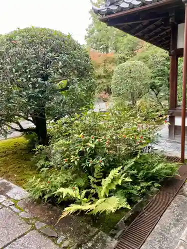養徳院(京都府)
