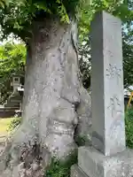 雀神社(茨城県)