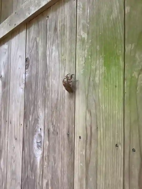 東谷山白龍大明神(愛知県)