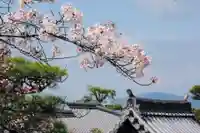 伏見稲荷大社(京都府)