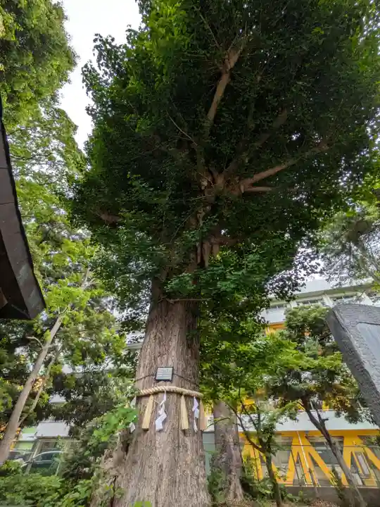 前原御嶽神社(千葉県)