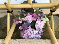 舞子六神社/まいこむの宮の手水舎