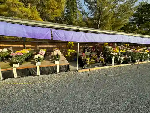 橿原神宮(奈良県)