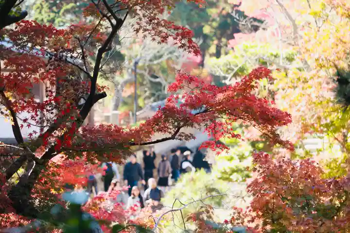 円覚寺(神奈川県)