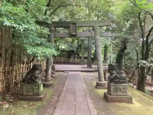 渋谷氷川神社(東京都)
