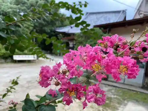 弘照院の庭園