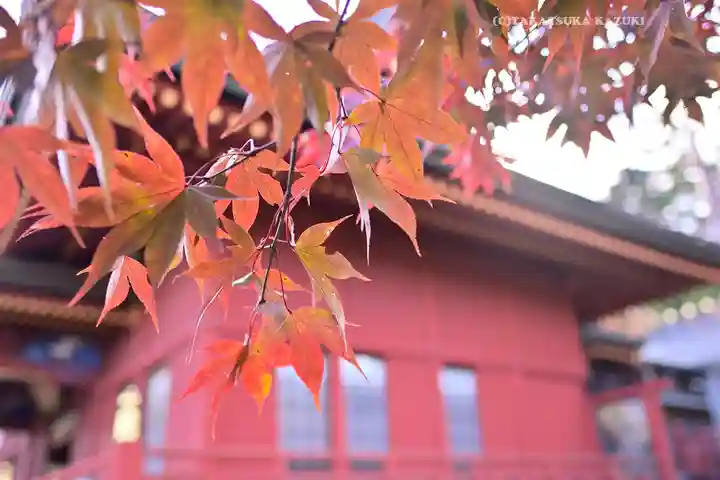 武蔵御嶽神社(東京都)