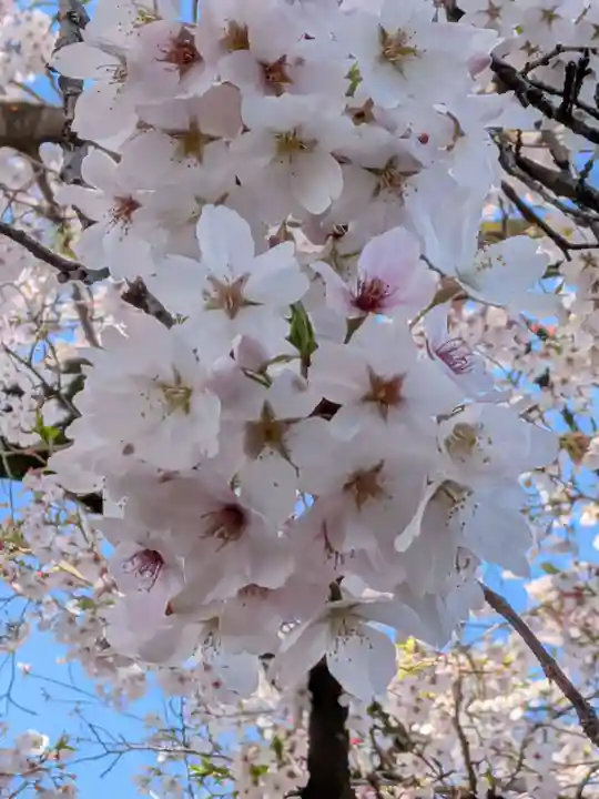 福蔵院(東京都)