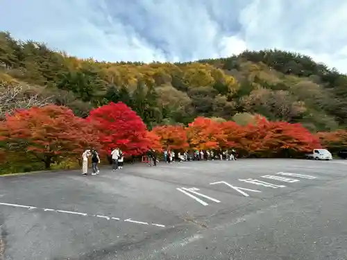 山神社(長野県)