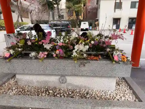 生田神社の{uncategorized: "未分類", other: "その他", undefined: "問題あり", building: "その他建物", grave: "お墓", sacred_gate: "鳥居", guardian: "狛犬", statue: "像", buddha: "仏像", history: "歴史", nature: "自然", garden: "庭園", animal: "動物", pagoda: "塔", temizu: "手水舎", mountain_gate: "山門・神門", sanctuary: "本殿・本堂", subordinate: "末社・摂社", art: "芸術", scenery: "景色", jizo: "地蔵", ema: "絵馬", goshuin: "御朱印", omikuji: "おみくじ", items: "授与品その他", amulet: "お守り", goshuincho: "御朱印帳", eats: "食事", festival: "お祭り", votive_dance: "神楽", shichigosan: "七五三参", wedding: "結婚式", experience: "体験その他", initially: "初詣", around: "周辺", anti_infection: "感染症対策"}