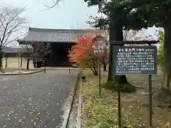 東寺（教王護国寺）(京都府)