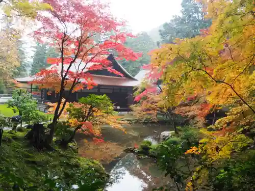 南禅院(京都府)