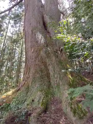黒瀧神社(三重県)