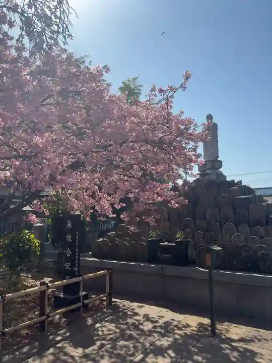 芳林寺(埼玉県)