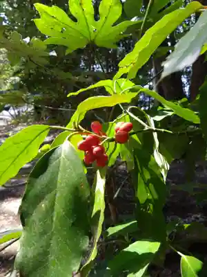 槵觸神社(宮崎県)