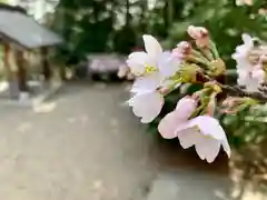 滑川神社 - 仕事と子どもの守り神の自然