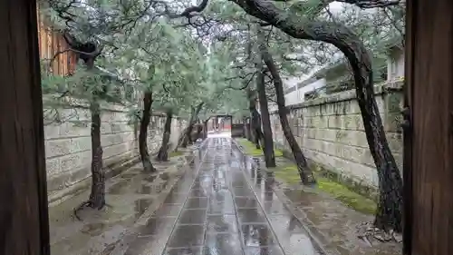 導故寺(京都府)