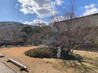 勧修寺(京都府)