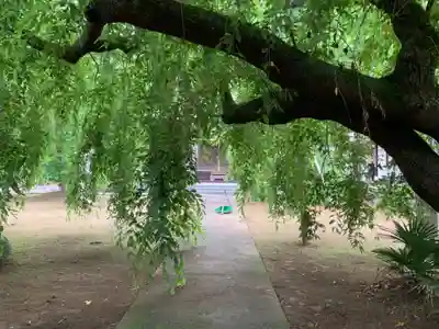 願成就寺(千葉県)