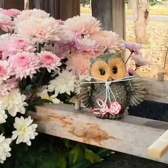 彌彦神社 (伊夜日子神社)の手水舎