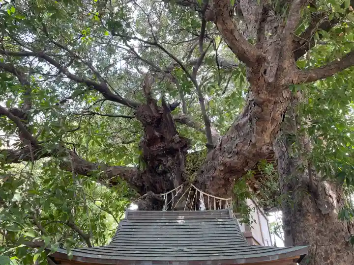 法真寺の{uncategorized: "未分類", other: "その他", undefined: "問題あり", building: "その他建物", grave: "お墓", sacred_gate: "鳥居", guardian: "狛犬", statue: "像", buddha: "仏像", history: "歴史", nature: "自然", garden: "庭園", animal: "動物", pagoda: "塔", temizu: "手水舎", mountain_gate: "山門・神門", sanctuary: "本殿・本堂", subordinate: "末社・摂社", art: "芸術", scenery: "景色", jizo: "地蔵", ema: "絵馬", goshuin: "御朱印", omikuji: "おみくじ", items: "授与品その他", amulet: "お守り", goshuincho: "御朱印帳", eats: "食事", festival: "お祭り", votive_dance: "神楽", shichigosan: "七五三参", wedding: "結婚式", experience: "体験その他", initially: "初詣", around: "周辺", anti_infection: "感染症対策"}