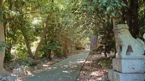 夜疑神社の自然