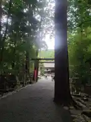 椿大神社の建物その他